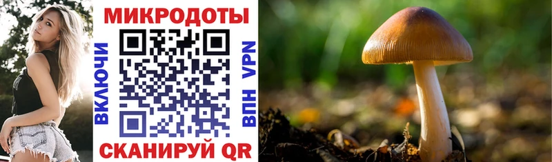 Псилоцибиновые грибы мухоморы  Купить  Болгар 