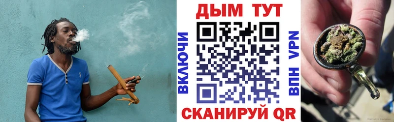 Купить  Болгар  Каннабис конопля 